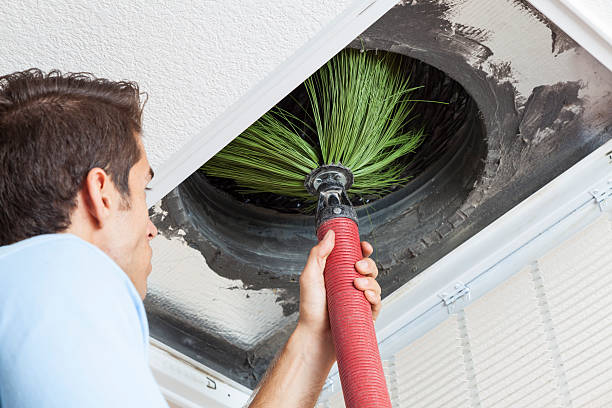 Best Commercial Air Duct Cleaning  in Blue Grass, IA